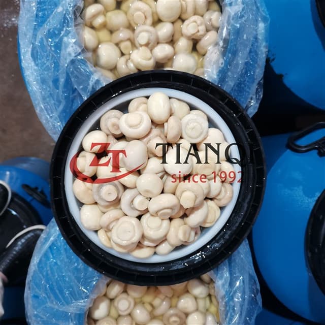 Консервированный белый шампиньон в бочках